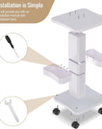 Esthetician Cart with Wheels and 2 Trays, 4 Tier Salon and Spa Equipment Trolley Carts, Beauty Machine Trolley, Load 135lbs