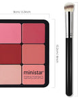12 Colors Cream [Blush] Makeup Palette for Cheeks - All in One Blush Makeup Palette Kit with Brush, Natural Matte Long Wearing, Waterproof Blendable Face Make Up Pallete (#01)