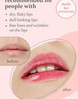NOONI Korean Lip Oil - Applepeony | Lip