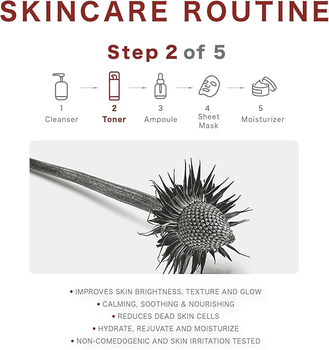 RAWQUEST- Echinacea Korean Toner for Face for Deep Hydration, Instant Moisture, Soothing, Anti-Aging & Dermatologist Tested w/Hyaluronic Acid & Niacinamide | Korean Skin Care for Dry & Sensitive Skin