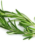US Organic 100% Pure Rosemary Essential Oil, USDA Certified Organic 100% Pure, Steam Distilled, for Hair Growth, Scalp, Face, Skin, and Aromatherapy (Size Variations Available) (30 ml)