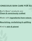 Burt's Bees Lip Balm - Berry Agua Fresca, Dragonfruit Lemon, Coconut & Pear, Tropical Pineapple Pack, With Beeswax, Tint-Free, Natural Origin Lip Treatment, 4 Tubes, 0.15 oz.