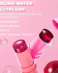 4 Pcs Jelly Blush Stick,Sheer Lip & Cheek Makeup Blush