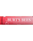 Burt's Bees Moisturizing Lip Balm, Mango