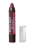 Burt's Bees 100% Natural Moisturizing Gloss Lip Crayon,
