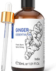 HIQILI 1 Fl Oz Ginger Oil, 100% Pure Natural Ginger Essential Oil for Hair, Massage, Skin - 30ml