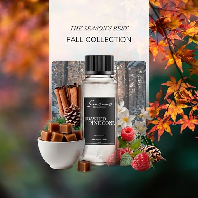 Scentiment Diffuser Oil - Roasted Pine Cone Fall Collection | Aromatherapy Home Fragrance | Luxurious Scent with Notes of Pine, Raspberry, Caramel (20ml)