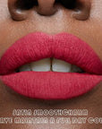 evpct 2Pcs Rose Red Pink Mauve Neutral Color Lip Liner and Matte Lipstick Makeup Sets Vegan Lipstick Lip Liner and Gloss Set Lip Stain Long Lasting Waterproof 24 31#
