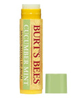 Burt's Bees 100% Natural Origin Moisturizing