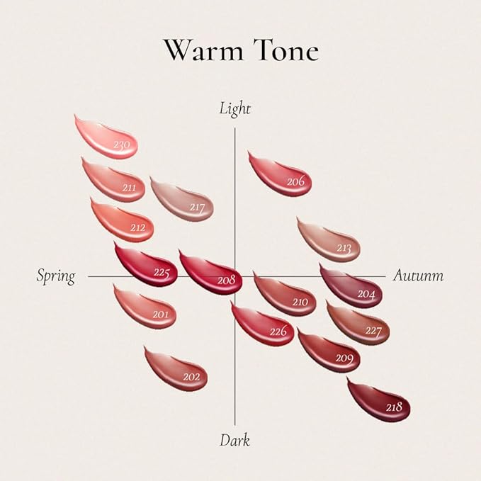 DINTO Blur-Glowy Lip Tint (230 Cōgitātiō)