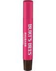 Burt's Bees Shimmer Lip Tint Set, Tinted Lip Balm Stick, Moisturizing for All Day Hydration with Natural Origin Glowy Pigmented Finish & Buildable Color, Rhubarb (4-Pack)