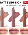 BINGBRUSH Crayon Matte Longwear Lipstick Pack Set,Moisture Smooth Color Stick Ultimate Lip Crayon for Makeup Collection - Waterproof Velvet Lipgloss (3pcs 02#&04#&06#, 3 Count (Pack of 1))