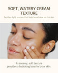 mixsoon Bean Sunscreen 1.69 Fl. Oz. / 50ml SPF 50 Airy Texture Type Lightweight No White Cast For Face Korean Glass Skin Care