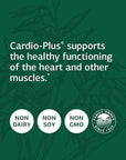 Standard Process Cardio-Plus - Antioxidant Support - Heart Health Supplement - Circulation & Blood Flow Supplement with Vitamin B6, Niacin & Riboflavin - Energy Metabolism Supplement - 330 Tablets