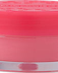 Burt's Bees Overnight Lip Sleeping Mask,