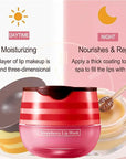 Bee Lip Balm Honey Pot,Honey Lip Exfoliator