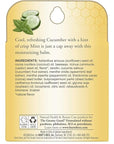 Burt's Bees 100% Natural Origin Moisturizing Lip Balm, Cucumber Mint with Beeswax, 4 Tubes