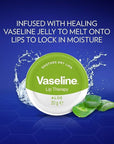 Vaseline Lip Therapy Aloe Vera 20g