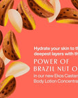 natura Ekos Castanha Body Lotion Concentrate Kit - Anti-Dryness - Deep Skin Hydration Moisturizer - Vegan Skin Care - Self Care & Body Care