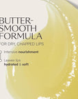 Weleda Skin Food Lip Butter, 0.27 Ounce, Plant Rich Moisturizing Lip Care with Sunflower Seed Oil, Chamomile and Calendula