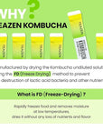 TEAZEN Pineapple Kombucha Tea, Hydration Drink Mix, Sugar Free, Live Probiotics & Prebiotics, 30 Sticks, 5.29oz