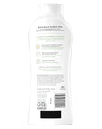 Olay Body Wash for Women, Fresh Radiance, Refreshing & Renewing, Made with Plant Based Cleansers, B3 Botanical Complex, For All Skin Types, Cucumber & Aloe Water Scent, 22 fl oz (Pack of 4)
