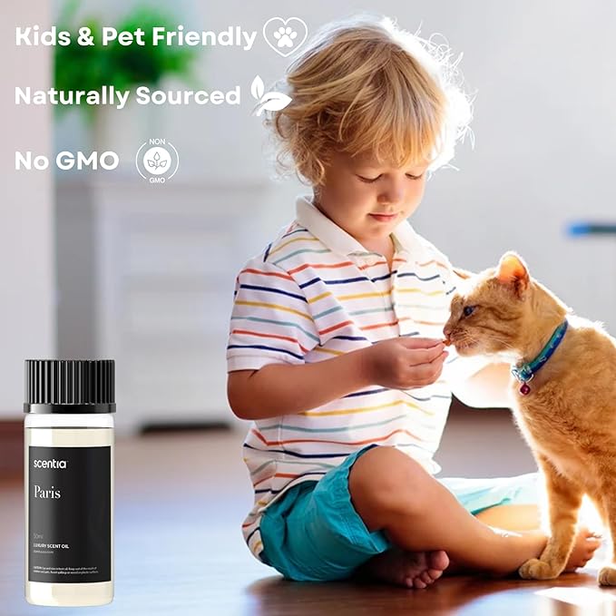 Scentia Hotel Diffuser Oil Inspired by The Hotel Costes Paris Scent - 50 mL 1.69 fl oz - Fragrance Oil Blend Rose, Clove & Sandalwood for Aromatherapy Diffuser & Humidifiers -Paris, Thanksgiving Gift