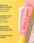 Burt’s Bees Lip Milk, Daily Lip Moisturizer, Sweet Strawberry, Vitamin Enriched Moisturizing Lip Balm with Almond Milk and Jojoba Oil, Hydrating for Softer Lips, 1 Tube, 0.34 Fl Oz