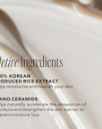 The Face Shop Rice Ceramide Moisturizing Cream - Rice Extract + Rice Bran Oil - Hydrating Targets Dryness, Brightening - Dermatologically Tested - Lightweight Moisturizer Face Cream - Korean Skin Care