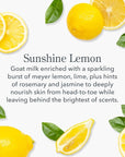 Beekman 1802 Sunshine Lemon Hand Cream - Scented - 2 fl oz - Nourishes, Hydrates & Repairs - With Goat Milk, Shea Butter & Glycerin - Non-Greasy - No Irritation - Good for Sensitive Skin