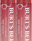 Burt's Bees Lip Tint Balm