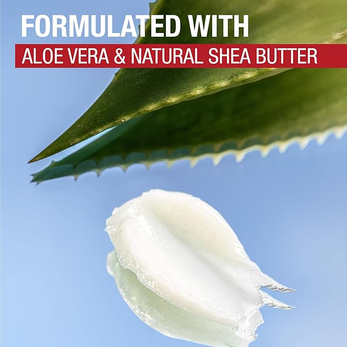 Aquaphor Naturally Inspired Lip Repair Stick with Aloe Vera and Natural Shea Butter, Hydrating Lip Balm Immediately Relieves Dryness, 0.17 Oz Stick (Pack of 2)