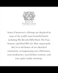 Antica Farmacista Hand Wash -Warm White, 10 Fl Oz (Pack of 1)