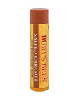 BURTS BEES Salted Carmel Lip Balm, 1 EA