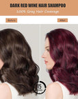 Instant Herbal Red Hair Color Shampoo - 3 in 1 Long-Lasting Hair Dye for Women and Men, 16.90 Fl Oz (Red Wine)