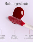 Côte Beauty's Tempted Peptide Lip Shine, Ultra Hydrating & Long-Lasting Warm Berry Plumping Lip Gloss for Women with Hyaluronic Acid, Shea Butter & Jojoba Oil, Vegan & Cruelty-Free, 0.12 Fl Oz