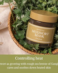 [I'M FROM] Mugwort Mask 3.88 fl oz | Natural Herb, Tea tree, Wash-off, Cooling and fast Soothing Breakouts, for Sensitive skin