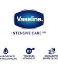 Vaseline Intensive Care Hand Crème Moisturizer for Dry Hands Hydra Replenish Made with hyaluronic acid, vitamin B3, and cocoa butter 3.4 oz 6 Count