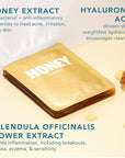 LAPCOS Daily Sheet Mask Variety Pack Exfoliate