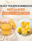 TEAZEN Lemon Ginger Hot Kombucha Tea, Live Probiotics & Postbiotics, Relaxation and Warmth for Colds and Sore Throat, Hydration Drink Mix, Sugar Free, 30 Sticks, 5.29oz