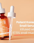 SeoulCeuticals Korean Skin Care 97.5% Snail Mucin Serum – K Beauty Skincare Anti Wrinkle Cica Night Serum Hyaluronic Acid for Face 1oz