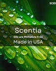 Scentia Hotel Diffuser Oil Inspired by 5-Star Hotel Scent - 50 mL 1.69 fl oz - Essential Oil Botanical Jasmine, Bergamot & Fresh Marine Notes for Aromatherapy Diffusers - Escapade, Thanksgiving Gift