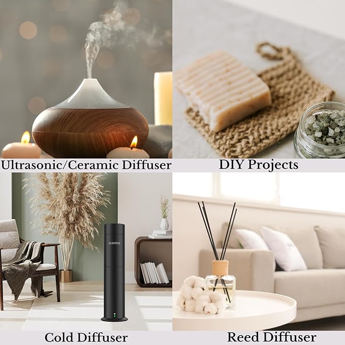 Scentia Noir Mystique – Hotel-Inspired Diffuser Oil, 120ml (0.67 fl oz) | Essential Oil Blend of Rose, Bergamot, Lemon & Musk | Luxury Aroma for Aromatherapy Diffusers & Humidifiers, Thanksgiving Gift