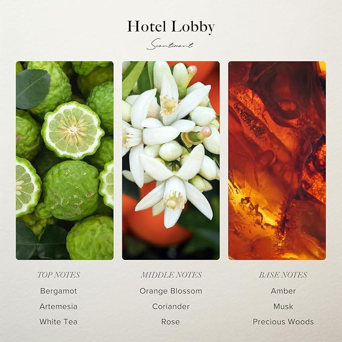 Scentiment Diffuser Oil - Hotel Lobby | Aromatherapy Fragrance Inspired by 5-Star Hotels | Luxurious Scent with Notes of White Tea, Bergamot, Orange Blossom, Amber & Marine (50ml)