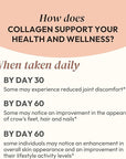 Collagen Peptides Powder, Unflavored, 1 lb – Supports Hair, Skin, Nail, Bone & Joint Health – Hydrolyzed, Grass-Fed, Gluten-Free, Keto-Friendly, Zero Sugar Protein Supplement.