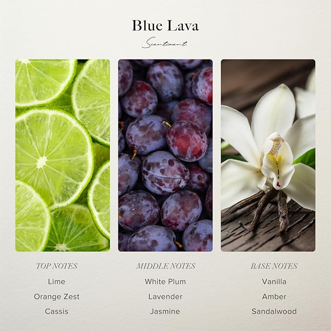 Scentiment Diffuser Oil - Blue Lava Designer Collection | Aromatherapy Home Fragrance | Luxurious Scent with Notes of Lime, Orange Zest, Cassis, Green Leaves (50 mL)