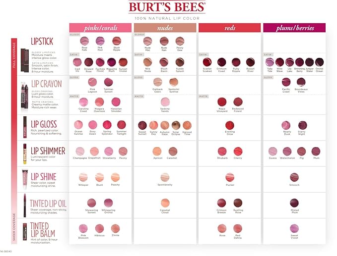 Burt's Bees 100% Natural Moisturizing Gloss Lip Crayon,