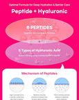 Snp 6 Peptides + 5 Hyaluronic Acid Eye Cream | Moisturizing & Soothing Under Eye Cream for Dark Circles and Puffiness | Korean Skincare Eye Repair Lotion | Peptaronic | 1.69 Fl Oz