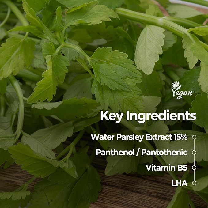 SKINFOOD Pantothenic Water Parsley Clear Toner Pad, Daily Exfoliating Pads for Sensitive Skin, Korean Skincare Sebum Control Face Toner for Trouble Skin, 8.81 oz (60 Pads)