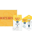 Burt's Bees Cold Sore Treatment Bundle